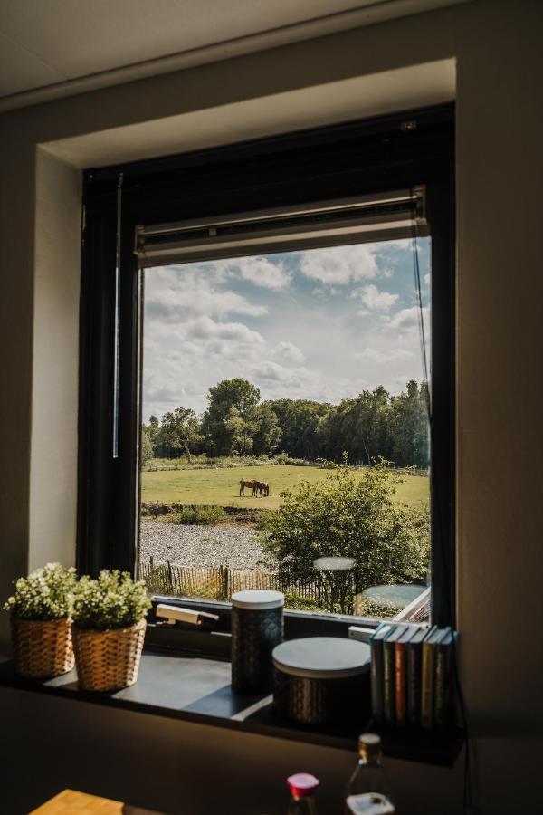 Luxury And Peace In Modern Appartment Vlagtwedde Luaran gambar